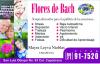 Foto de Flores de bach